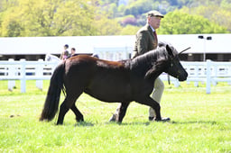 S19_7966 2026