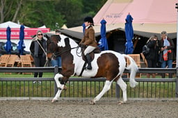 A29_0189 2026