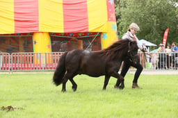 E34_2879 2026