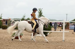 F45_0979 2026