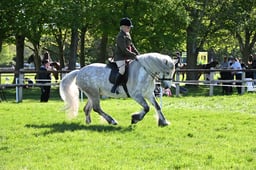 S19_8587 2026