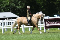 H41_3868 2026