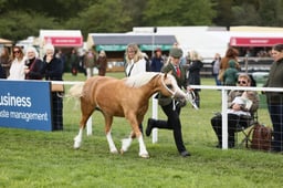 E29_0336 2026