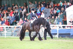 08 M&M JNR Ridden Championship