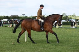 E36_0427 2026