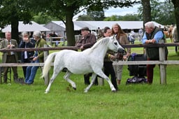 A41_0469 2026