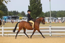 E65_1032 2026