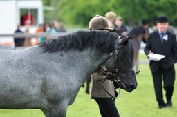 Z29_0056 2026