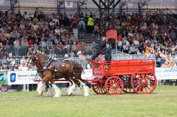 HHT Championship & Parade
