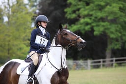17 Dennistown Marble