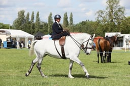 E36_2202 2026