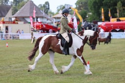 Z68_0790 2026