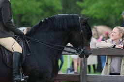 S30_3695 2026