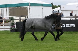 W29_0677 2026
