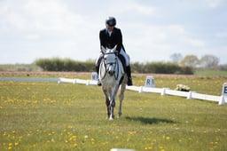 B16_0255 2026