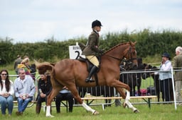 71-63 Ridden Hunter Championship