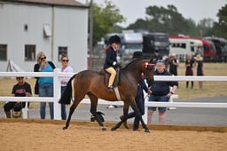 A65_2560 2026