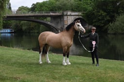 L29_9851 2026