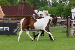 S28_9592 2026