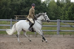 13 M&M Working Hunter RIHS Qualifier exc 143CM