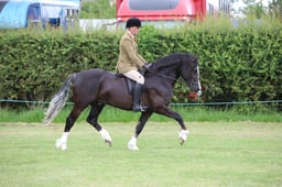 W36_1465 2026