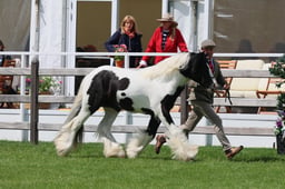 S28_8494 2026