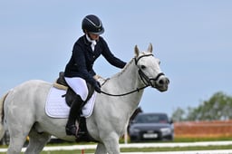 378 SILVER ECHO