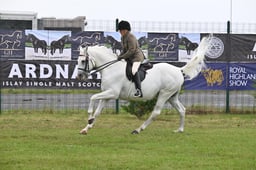 A45_0972 2026