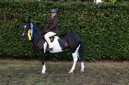 570 133cm
