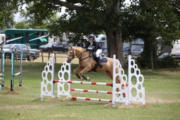 208 Swallowcroft Stardust