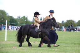 W36_1569 2026