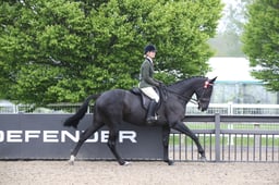 RoR Thoroughbred Ridden Championship