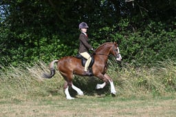 S60_0284 2026