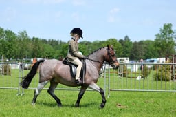 F33_0754 2026