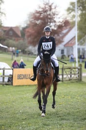 741 BLOOM DES HAUTS CRETS