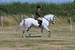 S60_0469 2026