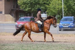 E66_4394 2026