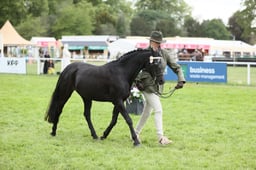 E31_4075 2026