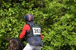 D26_0226 2026