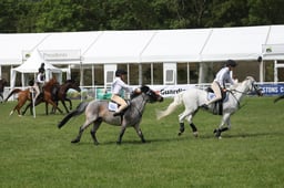 M43_6153 2026