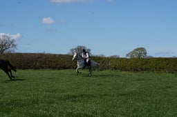C18_2206 2026