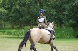 259 MINSTREL GIRL