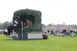 J24_0331 2026