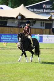 H46_5927 2026