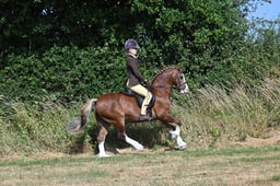 S60_0285 2026
