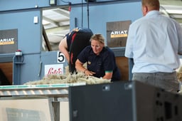 C68_3773 2026