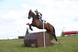 E15_8949 2026