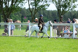 F33_0687 2026