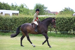 W36_1951 2026