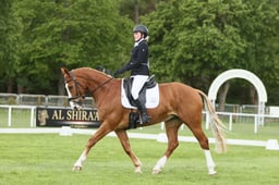 E29_1859 2026